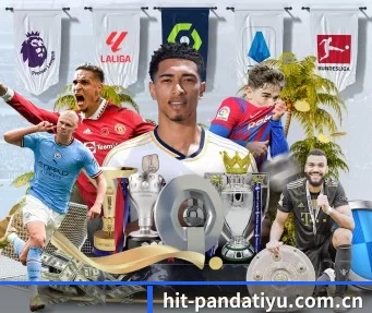 hit-pandatiyu.com.cn APP